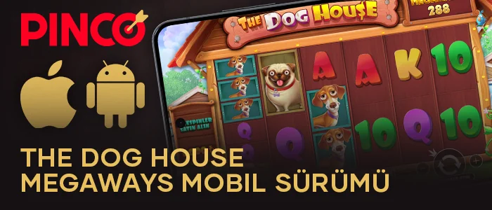The Dog House Megaways'i Pinco mobil uygulaması üzerinden oynayın