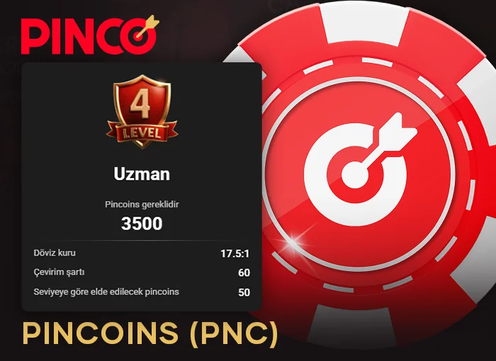 Pinco sitesinde oyun oynayarak Pincoins para birimi kazanın